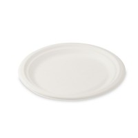 Talíř BIO - cukrová třtina - 22 cm - 10 ks - 41002