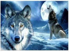 Diamantový obrázek - Vlk v zimě - 30 x 40 cm - 1005264