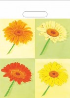 Taška - Gerbera - 3762
