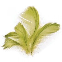 Peří - olivové - 10 g - 229017