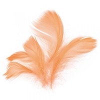 Peří - světle měděné - 10 g - 229026