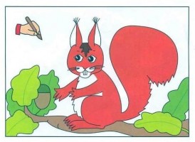 Omalovánky A5 - Veverka - Jiko
