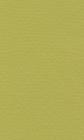Papír Hahnemühle Lana Colours A4 - 160 g/m2 - pistáciový