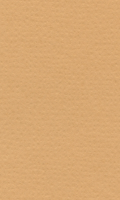 Papír Hahnemühle Lana Colours A4 - 160 g/m2 - pískový