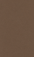 Papír Hahnemühle Lana Colours A4 - 160 g/m2 - tmavě hnědý