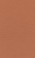 Papír Hahnemühle Lana Colours A4 - 160 g/m2 - okrový