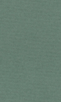 Papír Hahnemühle Lana Colours A4 - 160 g/m2 - šalvějový