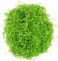 Tráva dekorační dřevěná - zelená - 50 g - 1953