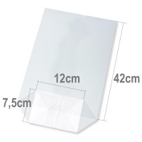 Sáček s kartonovým dnem - 120 x 75 x 420 mm - 5450