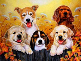 Diamantový obrázek - Parta psů - 30 x 40 cm - 1007426