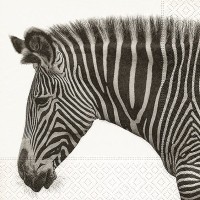 Ubrousky Gomar L - Zebra - 21826