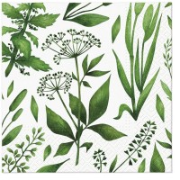 Ubrousky TeTe L - Green coctail - 20 ks - TL124200
