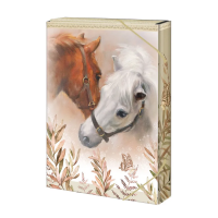 Box na sešity A4 - Horses & me - 1231-0360
