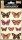 Samolepky - Motýli skuteční s 3D křídly 10196