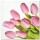 Ubrousky TeTe L - Lovely Tulips - TL703600