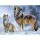 Diamantový obrázek 30 x 40 cm - Vlk s vlčicí - 1005260