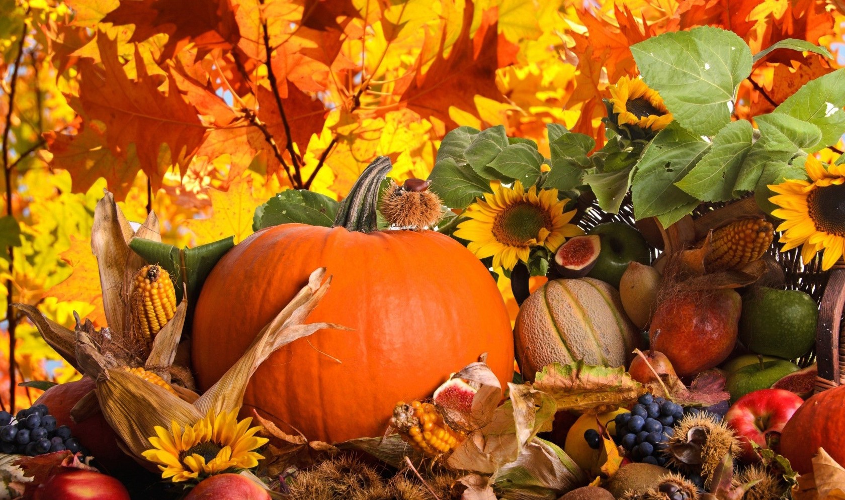 48 věcí, které musíte zkusit na podzim | Vaše online papírnictví